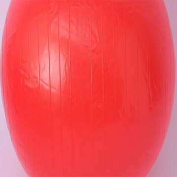 55cm Exercice Fitness GYM Smooth Yoga Ball RD